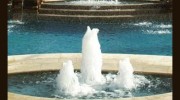Western Pool & Spa