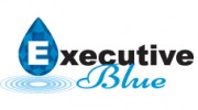 Executive Blue Pools
