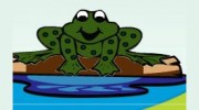 Frog's Pool Service