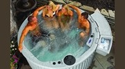 Spas & Hot Tubs