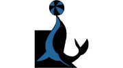 Pro Balance Pool & Spa