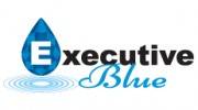 Executive Blue Pools