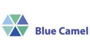 Blue Camel